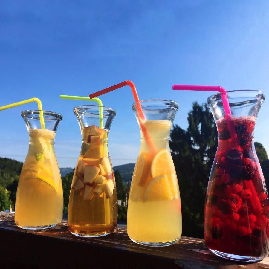 Hotel Peklo Pro Rodiny S Detmi Josefŭv Dŭl Zewnętrze zdjęcie